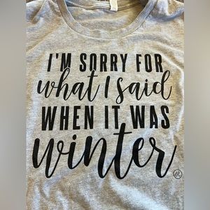 XL “Sorry for what I said when it was winter” Grey T-Shirt